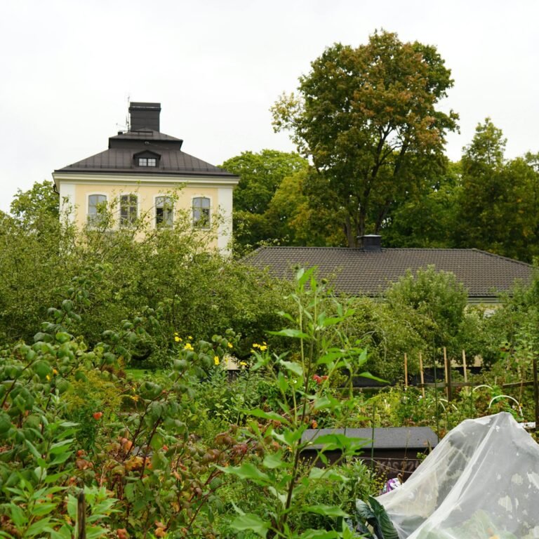 Farmhouse in Lucknow