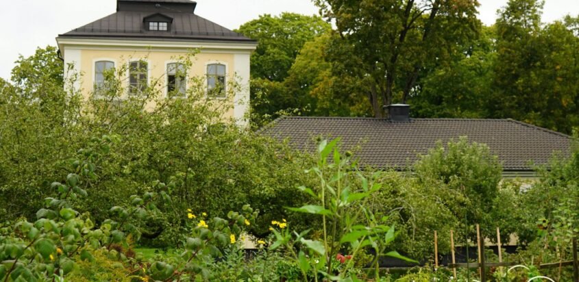 Farmhouse in Lucknow