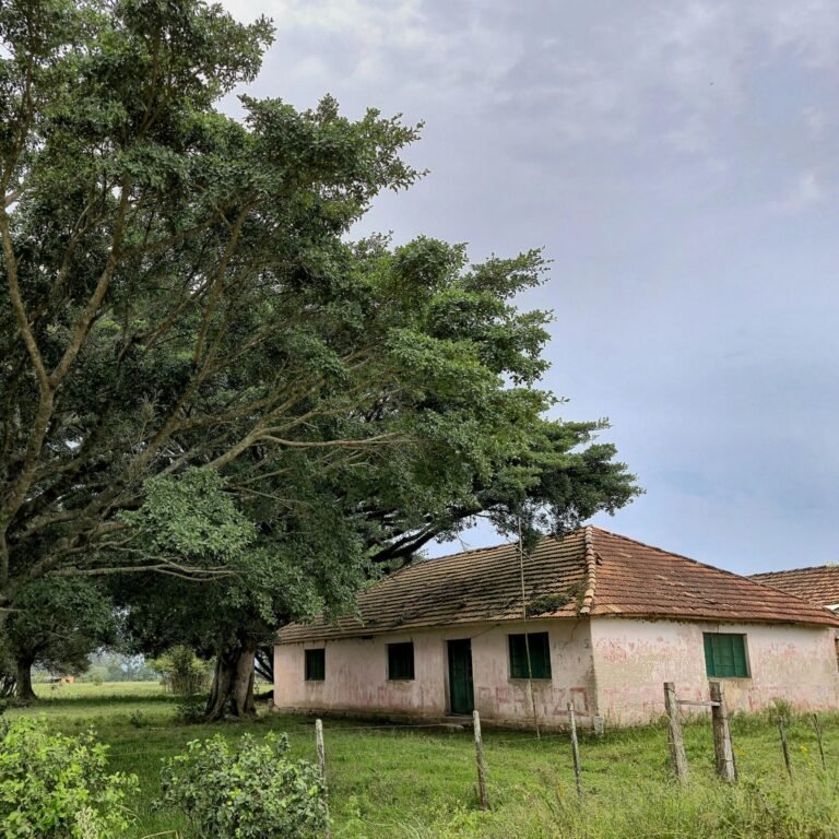 farmhouse in Lucknow with best deals